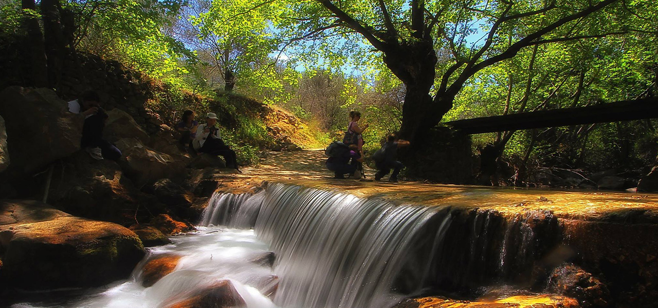 -aiyannis-location-chios-kardamyla